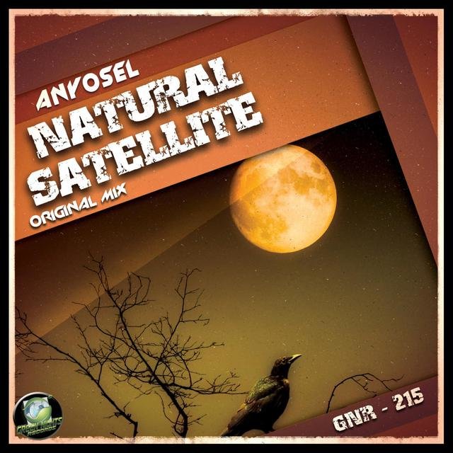 Natural Satellite