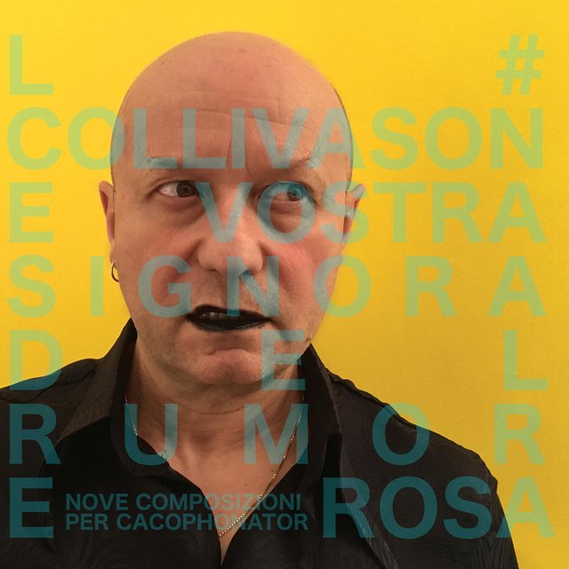 Vostra Signora Del Rumore Rosa