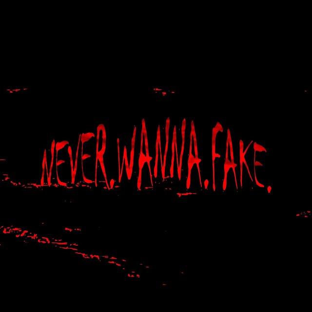 Never Wanna Fake