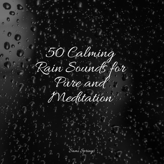 50 Calming Rain Sounds for Pure and Meditation