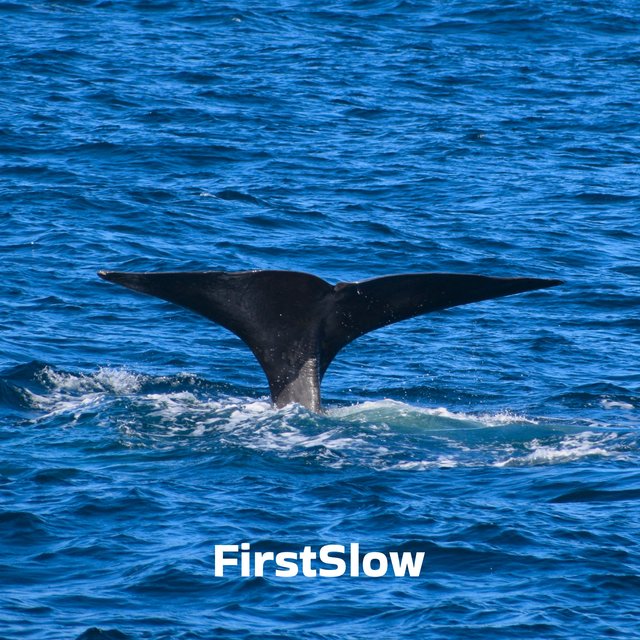 FirstSlow