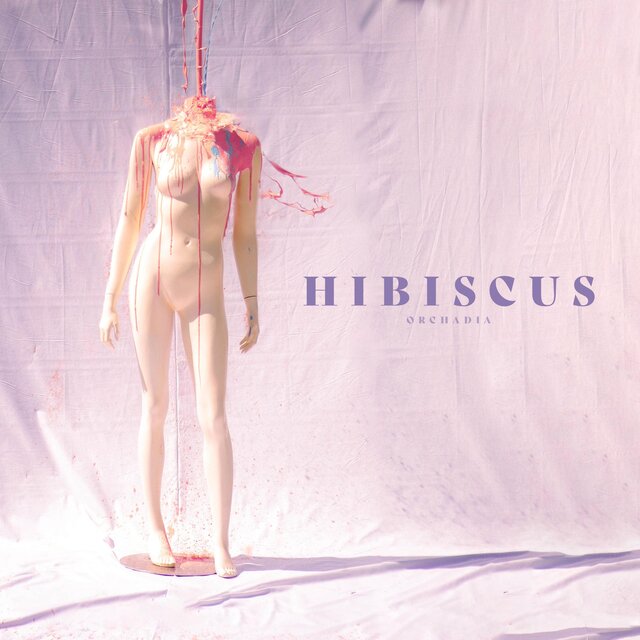 Hibiscus
