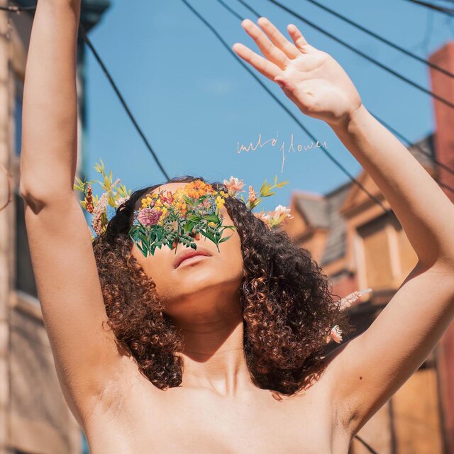 Wildflower