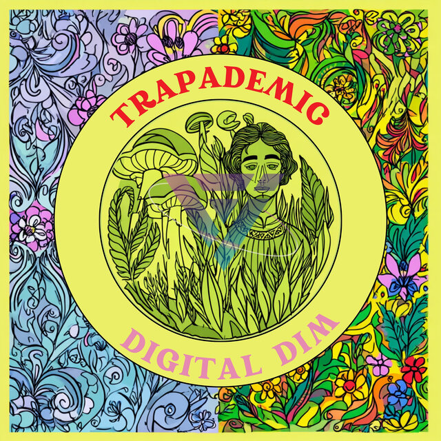 Digital Dim