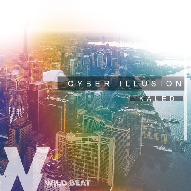 Cyber Illusion