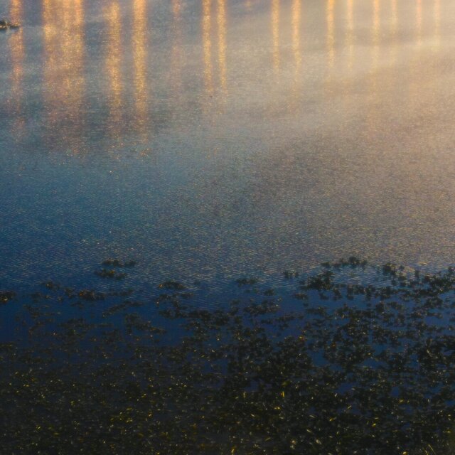 seaside