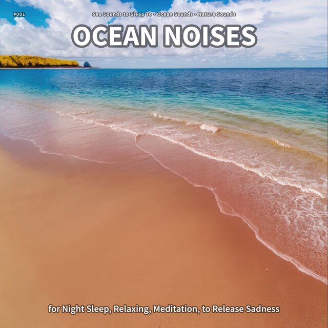 #001 Ocean Noises for Night Sleep, Relaxing, Meditation, to Release Sadness