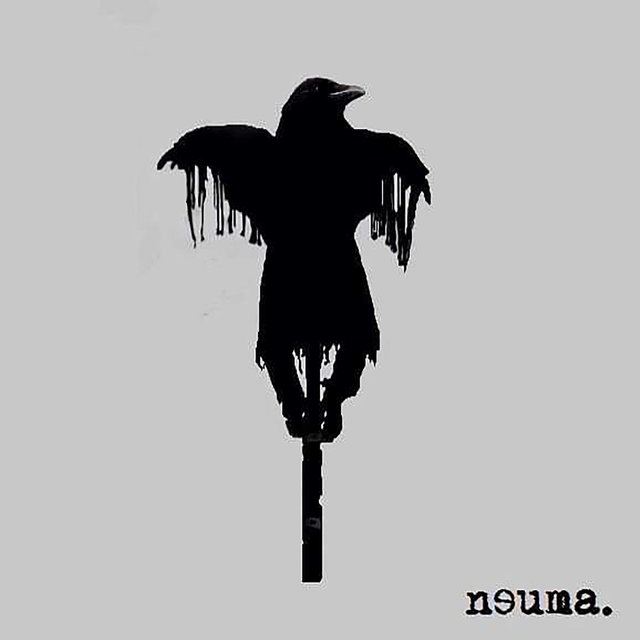 Neuma