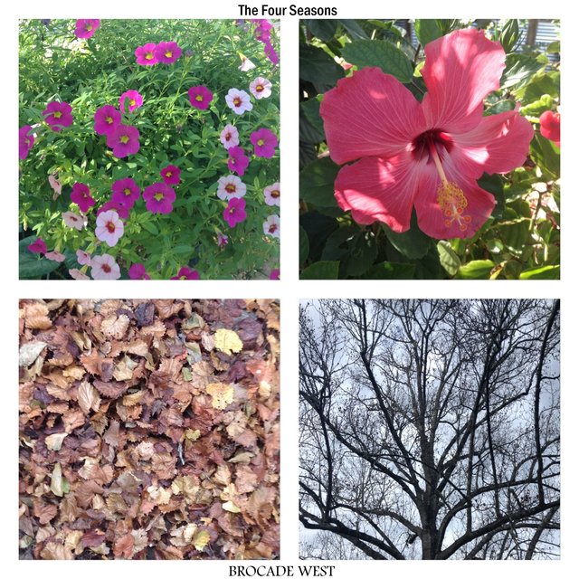 The Four Seasons
