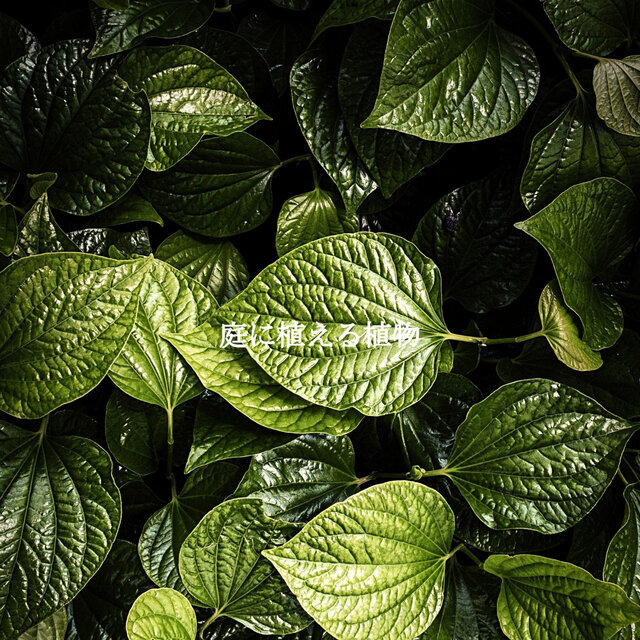庭に植える植物