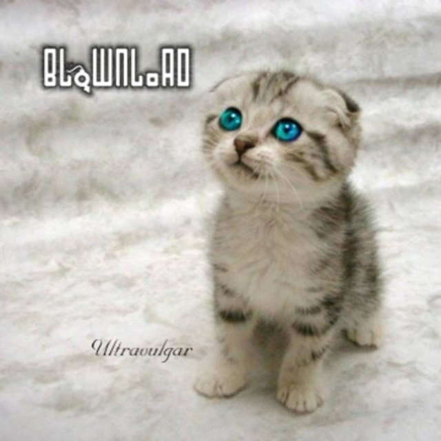 Ultravulgar