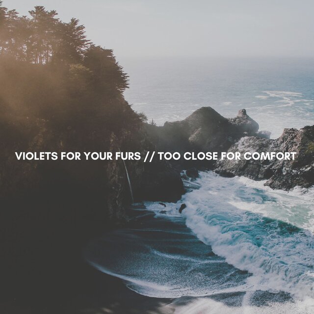 Violets for Your Furs