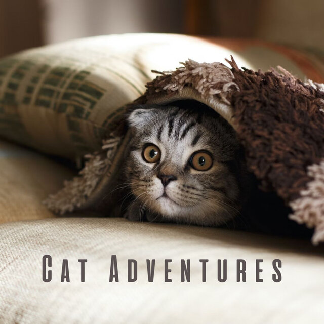 Cat Adventures: Melodic Lofi Escapes with Curious Cats