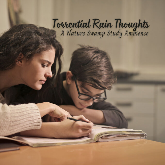 Torrential Rain Thoughts: A Nature Swamp Study Ambience