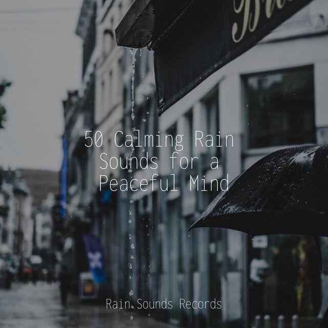 50 Calming Rain Sounds for a Peaceful Mind