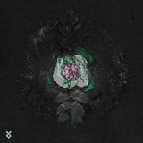 Negina (Temple Tears Remix)