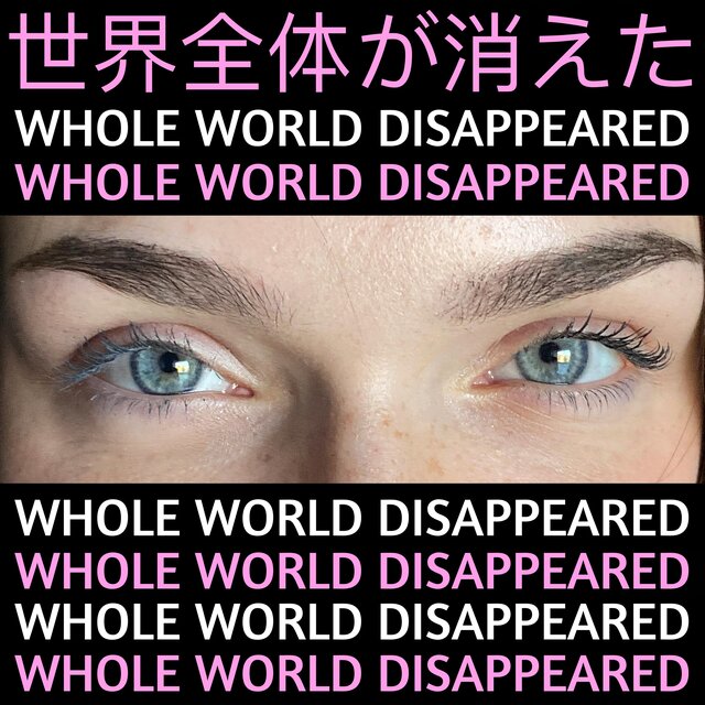WHOLE WORLD DISAPPEARED