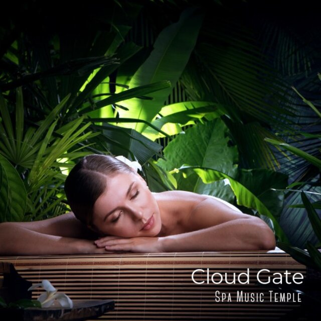 Cloud Gate: Massage Sounds