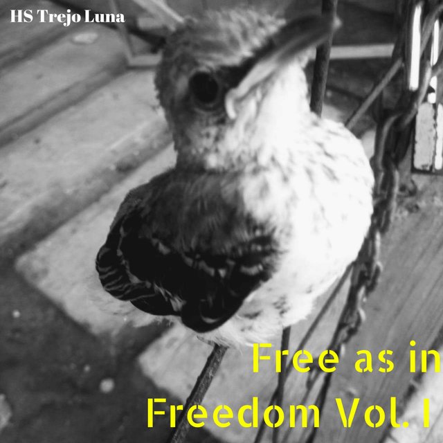 Free as in Freedom Vol. I