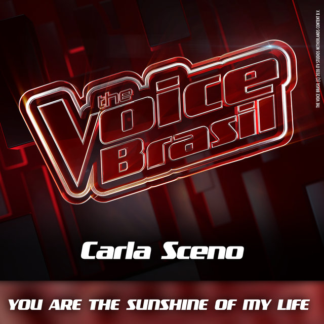 You Are The Sunshine Of My Life (Ao Vivo)