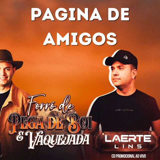 Pagina de Amigos