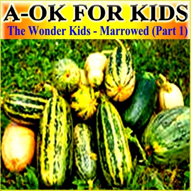 The Wonder Kids - Marrowed (Part 1)