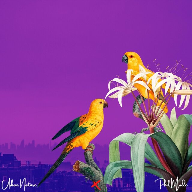 Urban Nature