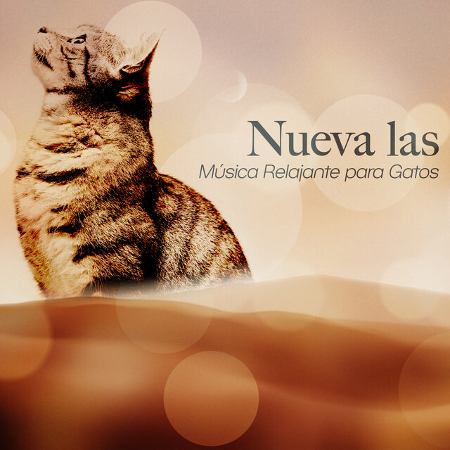 Nueva las