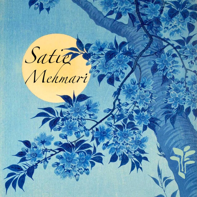 André Mehmari plays Satie