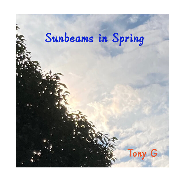 Sunbeams in Spring