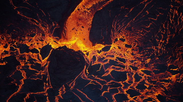 Mr. Hollywood (Visualizer Video)