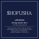 String Sextet No. 1 in B-flat major, Op. 18 -IV Rondo : Poco Allegretto e grazioso-