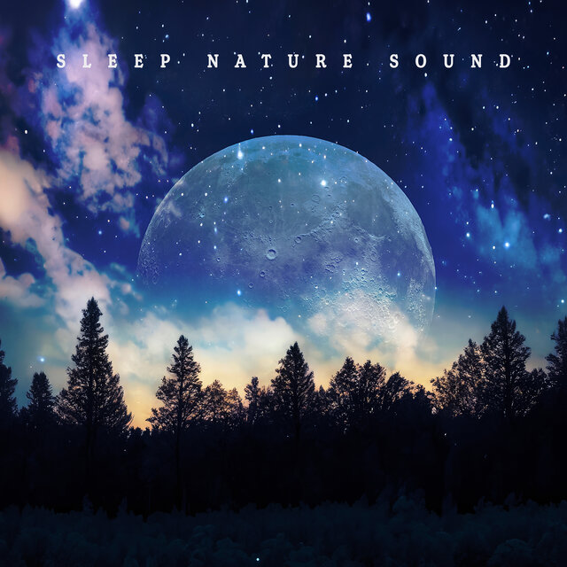 Sleep Nature Sound: Calming Sound From The Real World
