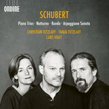 Arpeggione Sonata in A Minor, D. 821: III. Allegretto