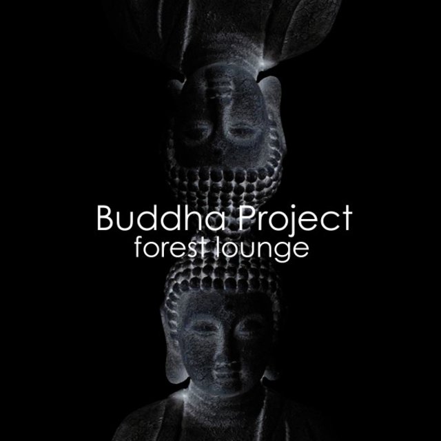 Forest Lounge
