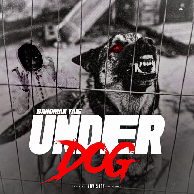 Under Dog