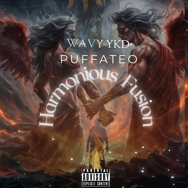 Harmonious Fusion Wavy X Puffy