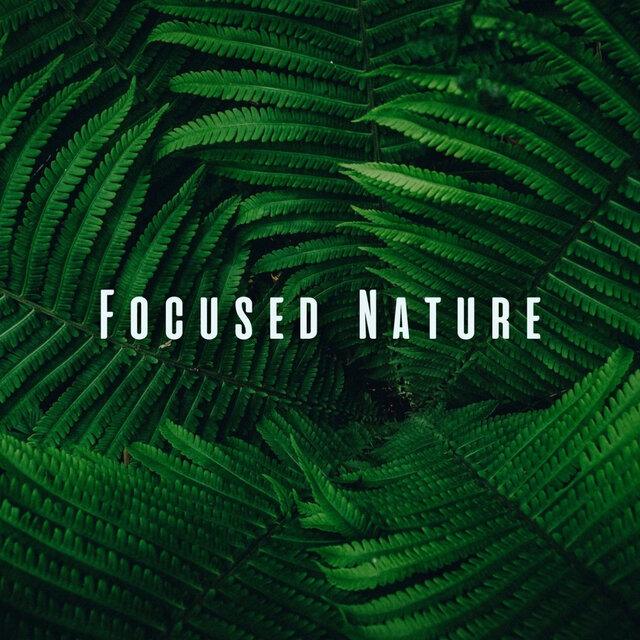 Focused Nature: Binaural Sounds for Intense Study Sessions