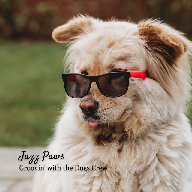 Jazz Paws: Groovin' with the Dogs Crew