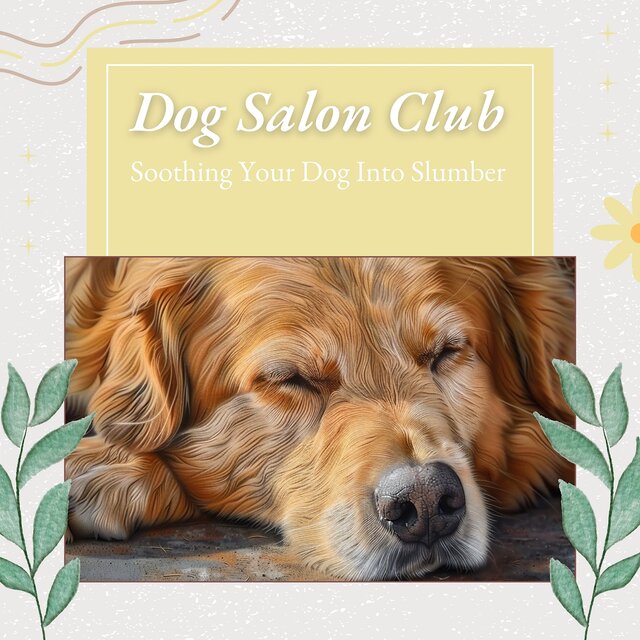 Soothing Your Dog into Slumber