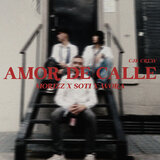 Amor de Calle