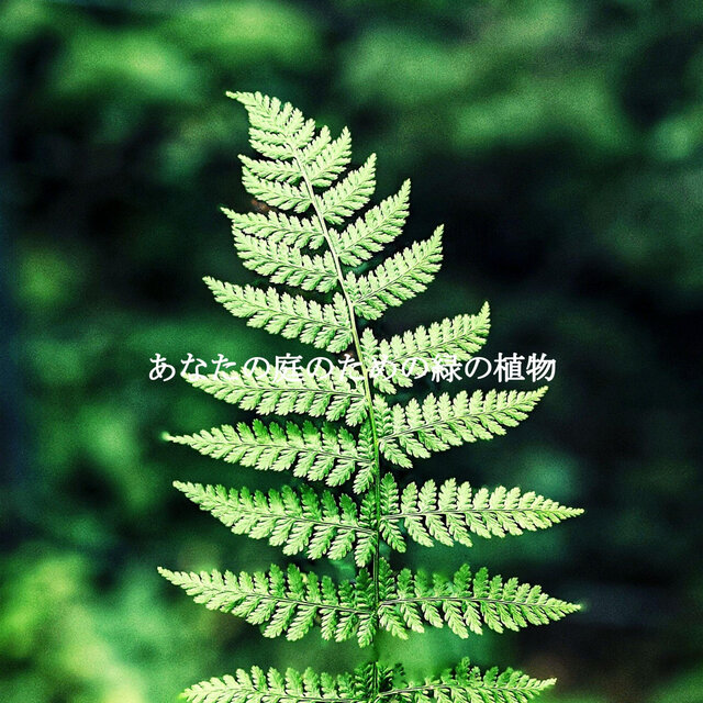 あなたの庭のための緑の植物