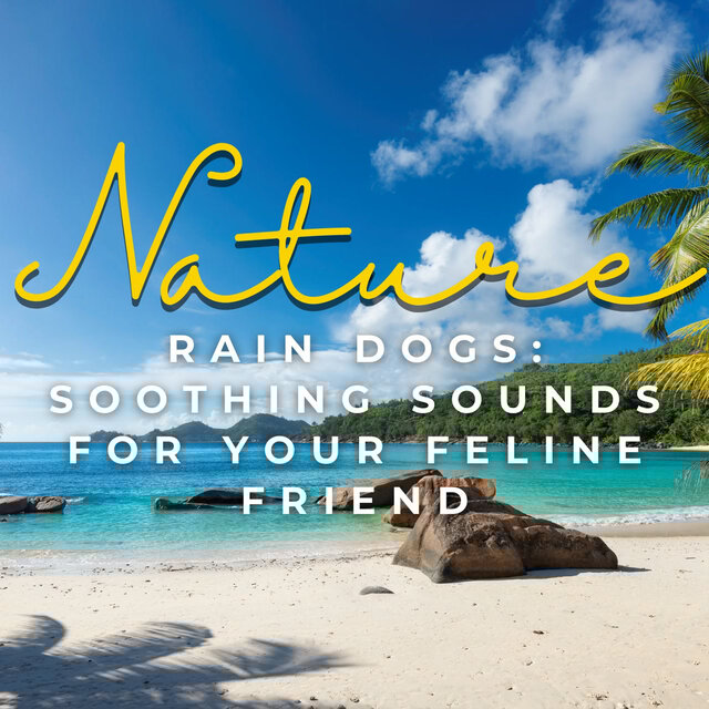 Rain Cats: Soothing Sounds for Your Feline Friend