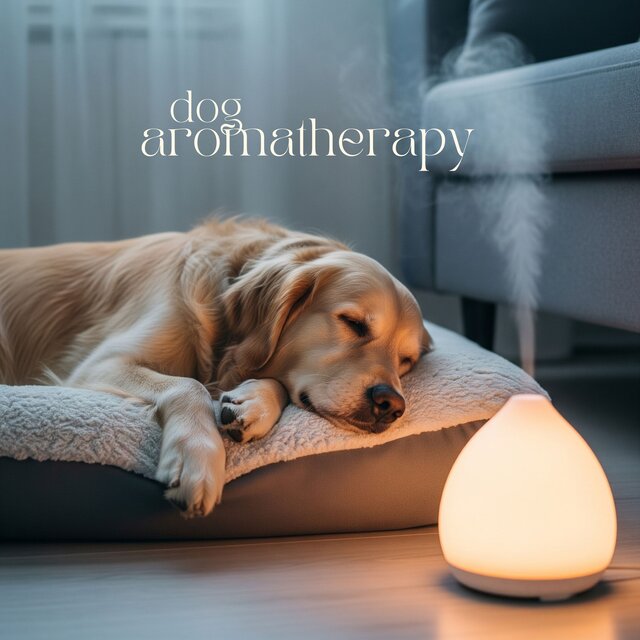 Dog Aromatherapy