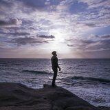 Flow Into Renewal