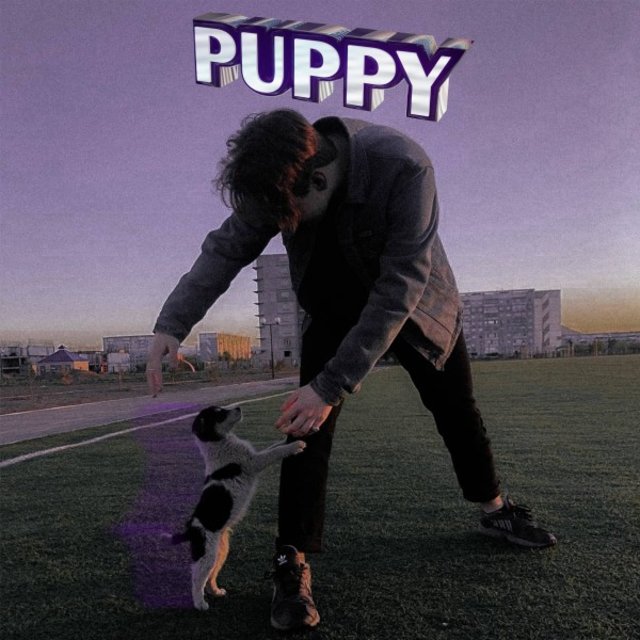 Puppy
