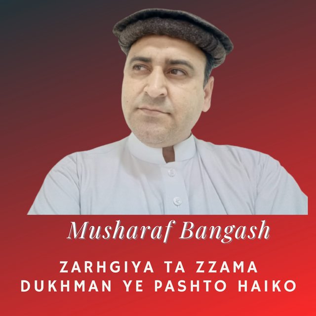 Zarhgiya Ta Zzama Dukhman Ye Pashto Haiko