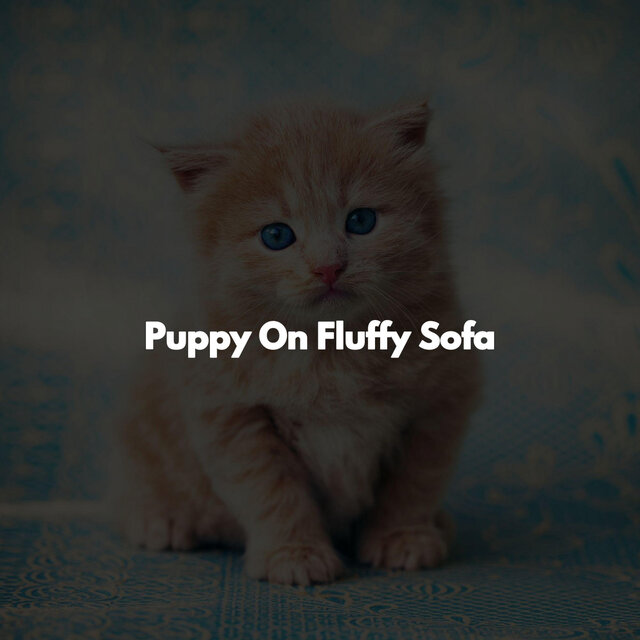 Puppy On Fluffy Sofa
