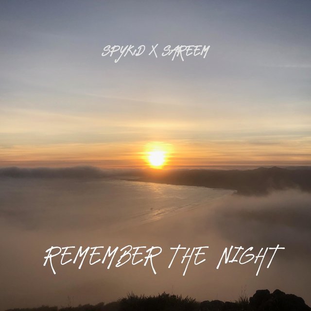 Remember the Night (feat. Sareem)