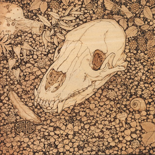 Spare Bones